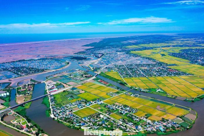 Buổi sáng và chiều muộn là thời điểm cánh đồng đẹp nhất. Ánh nắng phủ xuống khiến mặt ruộng ánh lên sắc vàng rực, xen lẫn màu xanh của cây cối và những mái nhà nhỏ nằm ven đồng. Nhiều đoạn đường trở thành điểm dừng chân của người dân và du khách để chụp ảnh, ngắm mùa lúa chín.