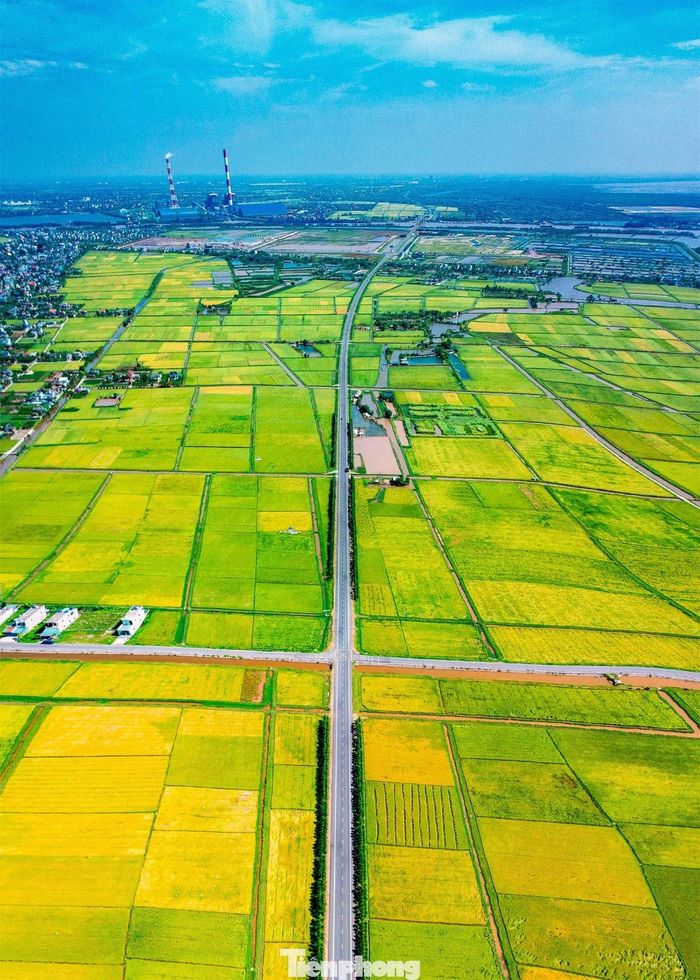 Từ flycam, cảnh đường chạy giữa cánh đồng lúa vàng tạo nên hình ảnh đối lập giữa hạ tầng hiện đại và vẻ yên bình của nông thôn Bắc Bộ.