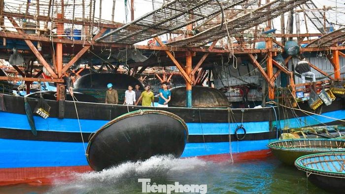 Mỗi tàu câu mực thường dài 24-28 m và thường chở từ 45-50 lao động và mang theo từng ấy chiếc thúng câu.