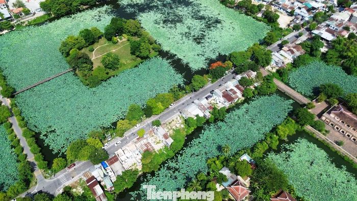 Theo Ban QLDA Đầu tư xây dựng khu vực 1 TP. Huế, toàn dự án có 2.233 hộ chính thuộc diện di dời. Đến nay, phần lớn hồ sơ bồi thường, hỗ trợ và tái định cư đã được phê duyệt; kinh phí chi trả cho người dân cũng cơ bản hoàn thành.