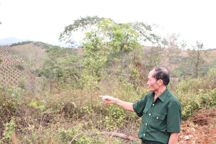Hiện trường vụ án.