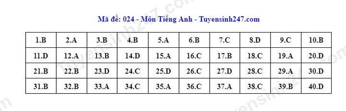 (VietNamNet đang tiếp tục cập nhật)