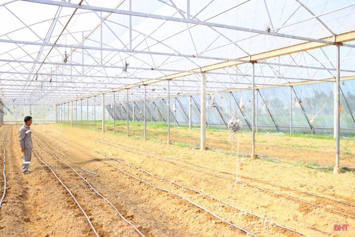 Nông dân Đức Thọ nhanh chóng khôi phục nhà màng bị thiệt hại sau các đợt thiên tai năm 2025