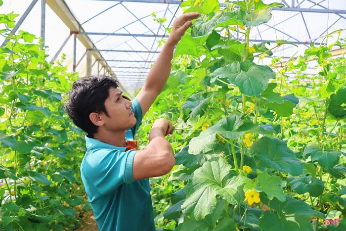Những sắc xanh từ các nhà màng là quá trình nỗ lực, tâm huyết của người dân.