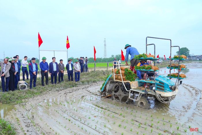 Những mô hình sản xuất lúa giảm phát thải tại các địa phương gần đây cho thấy hướng đi đúng đắn trong phát triển nông nghiệp ở Hà Tĩnh.