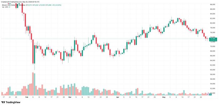 Biểu đồ giá theo ngày của BTC tính đến 30/5. Ảnh: TradingView/Bitstamp