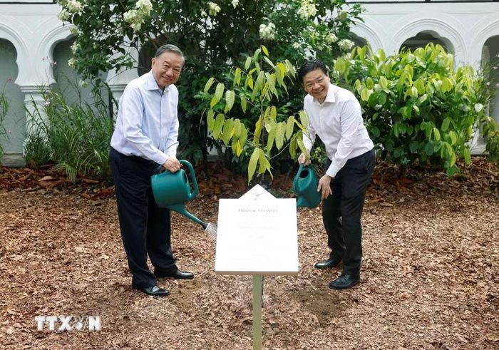 Tổng Bí thư, Chủ tịch nước Tô Lâm và Thủ tướng Singapore Lawrence Wong trồng cây lưu niệm. (Ảnh: Thống Nhất/TTXVN)