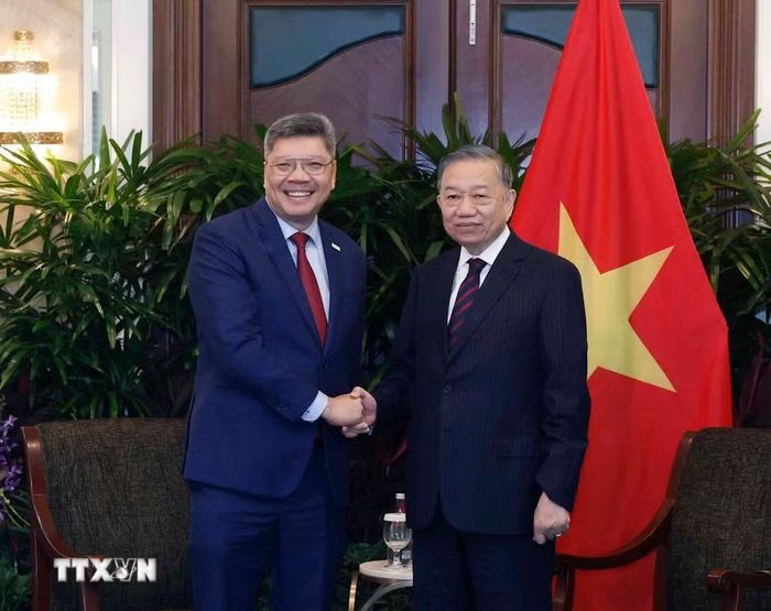 Tổng Bí thư, Chủ tịch nước Tô Lâm tiếp ông Bob Chi, Tổng giám đốc điều hành Công ty SATS. (Ảnh: Thống Nhất/TTXVN)