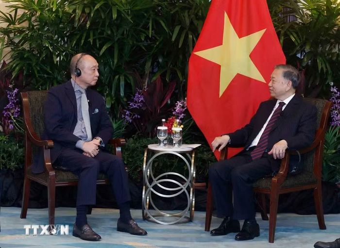 Tổng Bí thư, Chủ tịch nước Tô Lâm tiếp ông Wee Ee Cheong, Phó Chủ tịch kiêm Tổng giám đốc điều hành Ngân hàng UOB. (Ảnh: Thống Nhất/TTXVN)