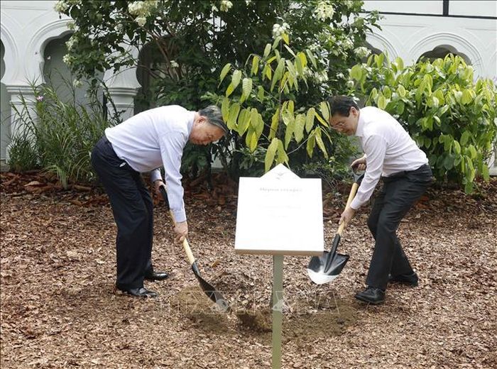Tổng Bí thư, Chủ tịch nước Tô Lâm và Thủ tướng Singapore Lawrence Wong trồng cây lưu niệm. Ảnh: Thống Nhất/TTXVN