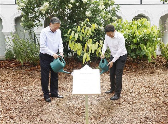 Tổng Bí thư, Chủ tịch nước Tô Lâm và Thủ tướng Singapore Lawrence Wong trồng cây lưu niệm. Ảnh: Thống Nhất/TTXVN