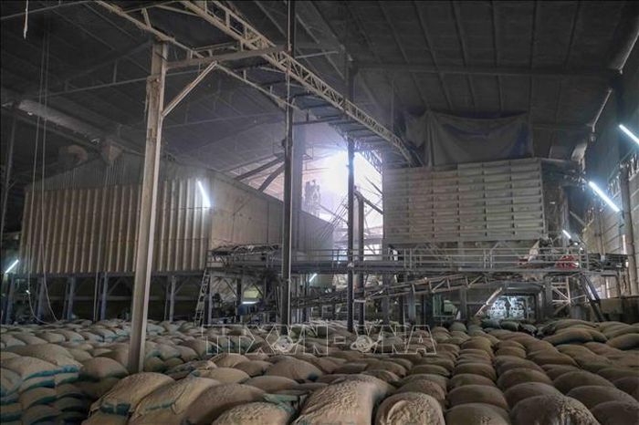 Bên trong Nhà máy Thành Tâm Cờ Đỏ, bụi từ hoạt động xay xát lúa gạo đóng một lớp dày che phủ các bao lúa.