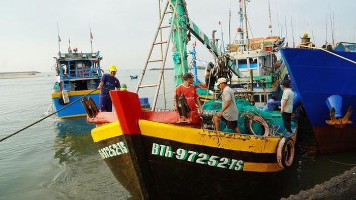 Tàu cá neo đậu sau khi đánh bắt cá ở Cảng cá Phan Thiết.