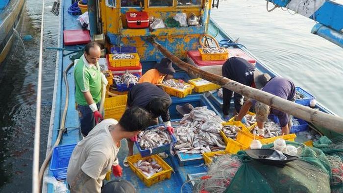 Ngư dân đánh bắt, khai thác hải sản ở Lâm Đồng.