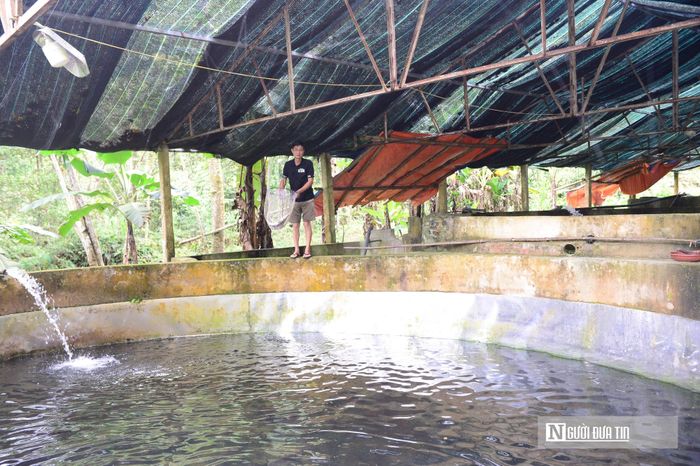 Mô hình nuôi cá tầm trong nước lạnh trên núi ở xã Linh Sơn, Thanh Hóa.