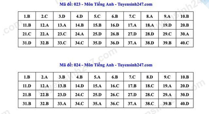 Đáp án tham khảo một số mã đề môn Tiếng Anh dành cho thí sinh.
