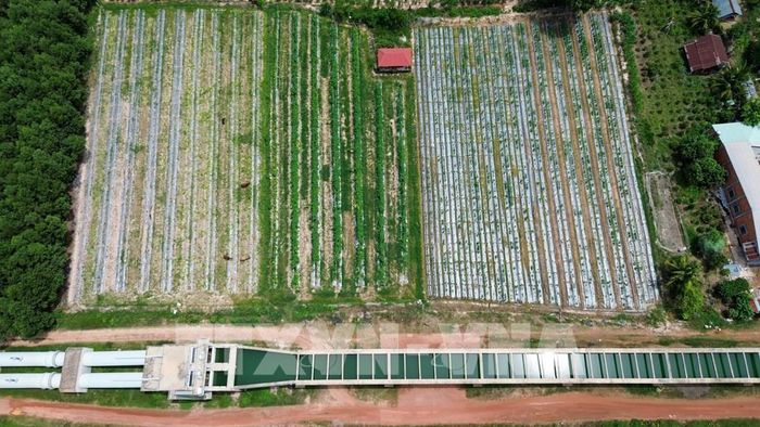 Tây Ninh tăng cường đầu tư, duy tu hệ thống thủy lợi phía Tây sông Vàm Cỏ Đông nhằm nâng cao hiệu quả phòng, chống hạn hán. Ảnh: Giang Phương - TTXVN