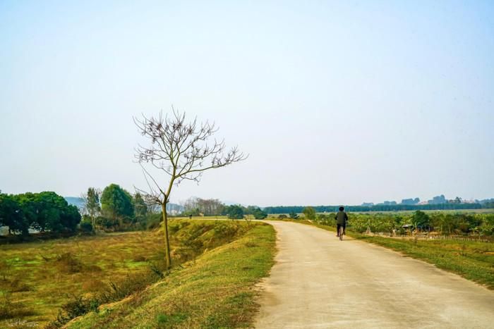 Cảnh đẹp làng quê ở Bắc Ninh.
