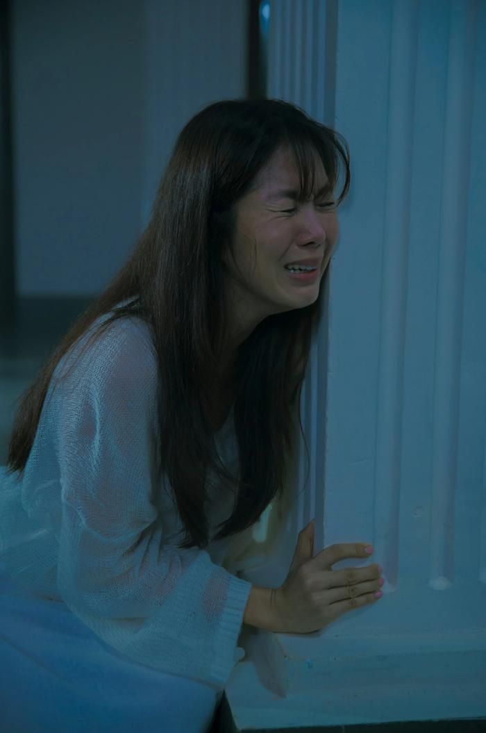 Lê Phương từng góp mặt trong các dự án điện ảnh, thế nhưng kết quả lại không thành công như kỳ vọng.