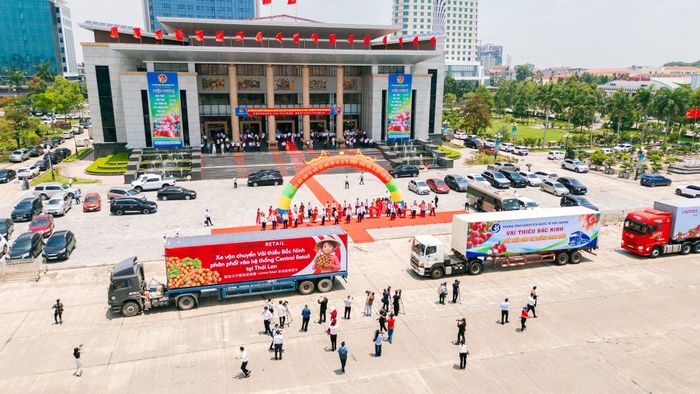 Xe container đưa vải thiều vào hệ thống phân phối của Central Retail. Ảnh: Central Retail.