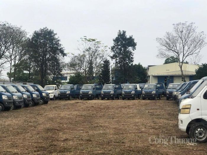 141 xe được bán đấu giá là xe tải nhẹ Changan