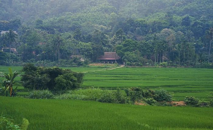 Nét đẹp mộc mạc, bình dị của làng Đòn, xã Thường Xuân.