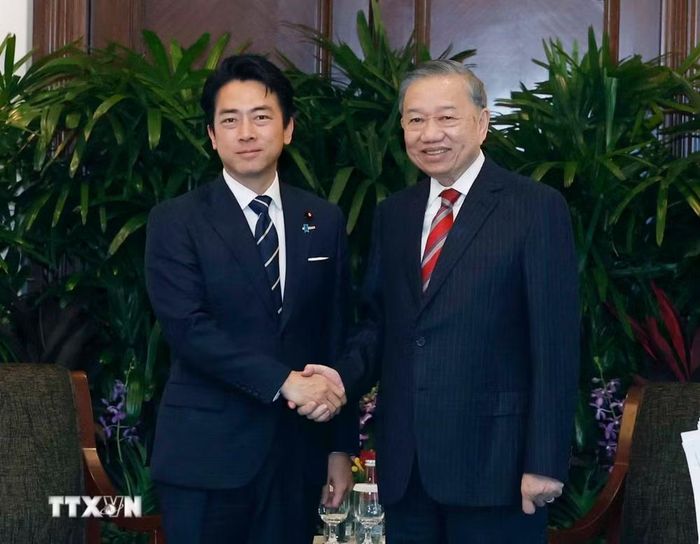 Tổng Bí thư, Chủ tịch nước Tô Lâm tiếp Bộ trưởng Quốc phòng Nhật Bản Shinjiro Koizumi. Ảnh: TTXVN