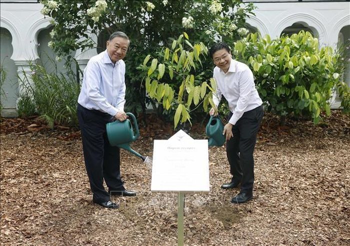 Tổng Bí thư, Chủ tịch nước Tô Lâm và Thủ tướng Singapore Lawrence Wong trồng cây lưu niệm tại Vườn Bách thảo Singapore. Ảnh: TTXVN