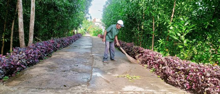 Đảng viên Từ Thanh Hải làm đẹp đường quê. ẢNH: HỨA MẬN