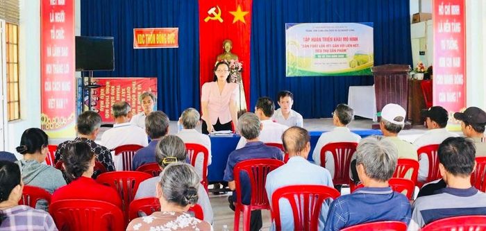 Xã Điện Bàn Tây tập huấn mô hình “Sản xuất lúa HT1 gắn với liên kết, tiêu thụ sản phẩm”. Ảnh: HẢI HƯNG