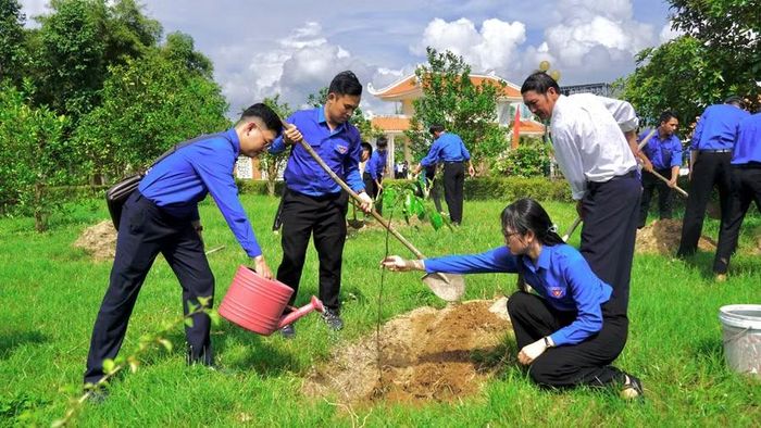  Đoàn UBND tỉnh cùng các đơn vị trồng cây sao đen tại xã Bình Khê. Ảnh: D.L 