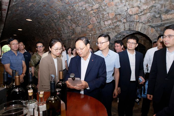 ... nghe giới thiệu về các loại rượu vang.