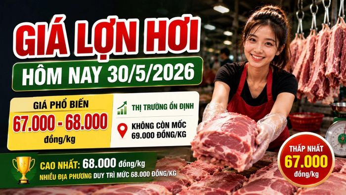Cập nhật giá lợn hơi sáng 30-5-2026. Hình minh họa