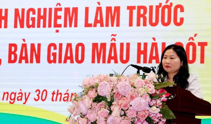 Phó Chủ tịch UBND tỉnh Vũ Thị Hiền Hạnh phát biểu tại hội nghị rút kinh nghiệm.