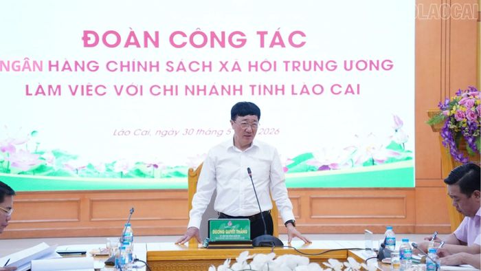 Đồng chí Dương Quyết Thắng - Tổng Giám đốc NHCSXH Trung ương phát biểu kết luận buổi làm việc.