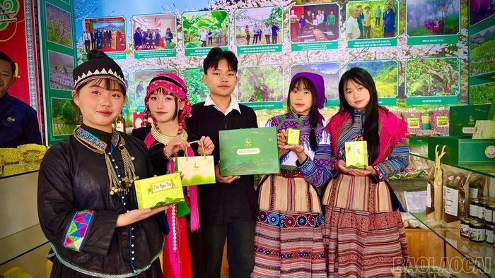 Giàng Quỳnh Trang (thứ 2 từ phải sang) cùng nhóm học sinh thực hiện dự án “Đa dạng hóa sản phẩm từ Tiên Ngân Sâm”.