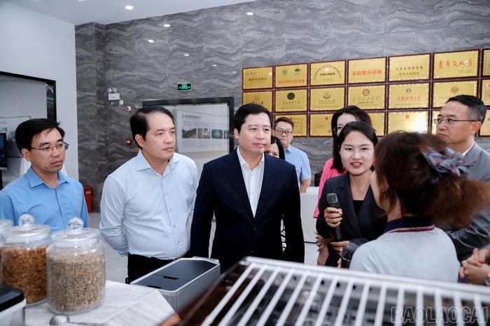 Đoàn công tác của tỉnh Lào Cai tham quan tại Công ty TNHH Cà phê Minh Cơ Khai Viễn.