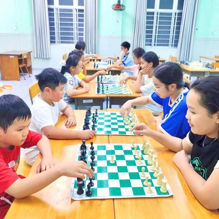 Võ thuật, cờ vua, bóng rổ, hội họa... là những hoạt động được nhiều trẻ em yêu thích trong dịp hè