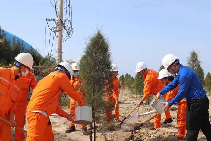 Người lao động NMNĐ Vĩnh Tân 4 tham gia trồng cây dương ven biển