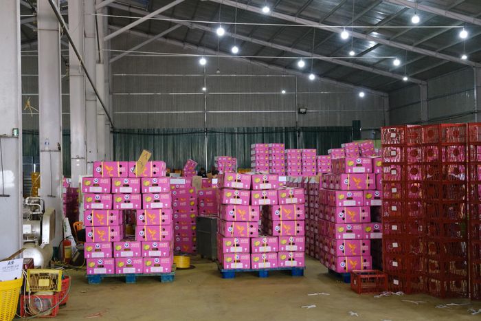 Xuất khẩu sầu riêng chính ngạch sang thị trường Trung Quốc