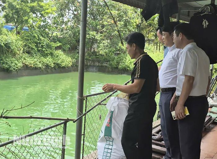 Lãnh đạo HTX tỉnh thăm mô hình nuôi thủy sản tại HTX Thủy hải sản và Sinh dược phẩm Phú Vinh.