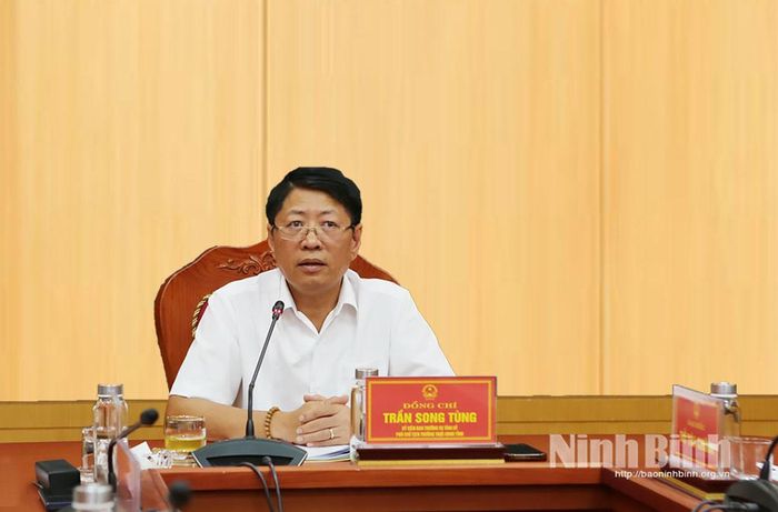 Đồng chí Phó Chủ tịch Thường trực UBND tỉnh Trần Song Tùng phát biểu kết luận hội nghị.