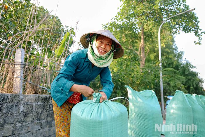 Với người nông dân, những bao thóc đầy sau mùa gặt không chỉ là thành quả của nhiều tháng cần mẫn chăm sóc mà còn là niềm vui, nguồn động lực để tiếp tục gắn bó với đồng ruộng.