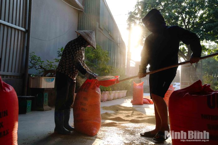 Sau những ngày thu hoạch khẩn trương ngoài đồng, người dân lại miệt mài với công việc, phơi khô, sàng sảy để khép lại một mùa vụ nhiều niềm vui.