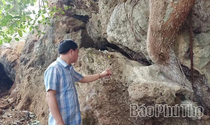 Trải qua hàng nghìn năm, vỏ ốc núi lưu giữ trên vách đá là minh chứng cho di tích khảo cổ
