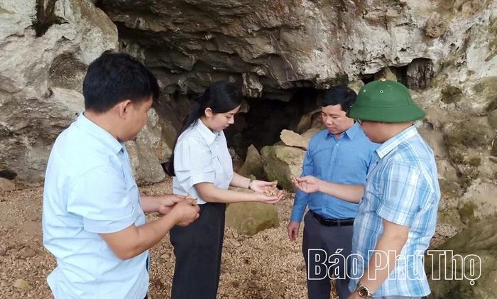 Dưới nền Mái đá làng Vành có rất nhiều vỏ ốc núi tích tụ qua hàng nghìn năm.