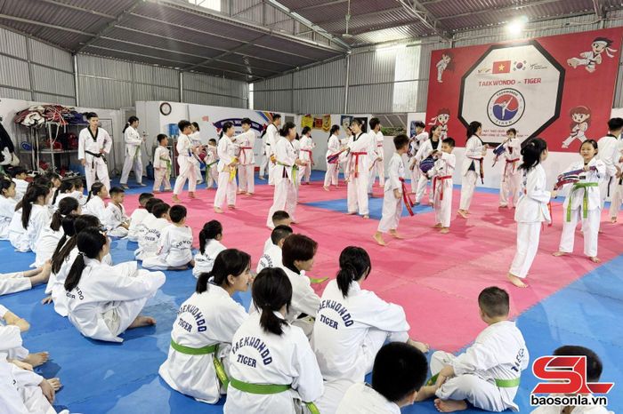 Không khí luyện tập sôi nổi tại CLB taekwondo Lịch Tiger, phường Tô Hiệu.