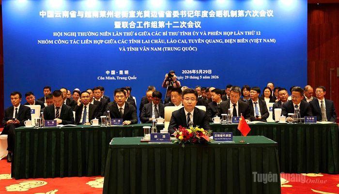 Đoàn đại biểu tỉnh Vân Nam tại phiên họp.