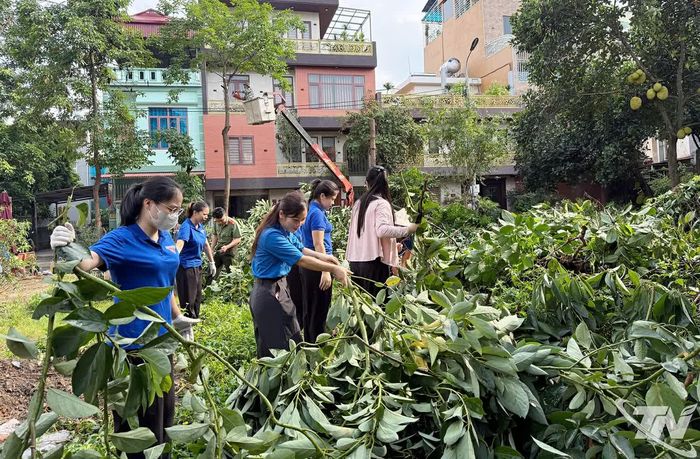 Lực lượng chức năng và đơn vị môi trường xử lý cây xanh, dọn dẹp mặt bằng hưởng ứng “Ngày thứ bảy xanh”.