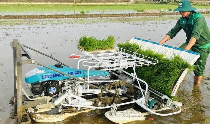 Máy cấy lúa được đưa xuống đồng ruộng hỗ trợ bà con trồng lúa